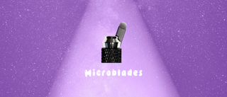 Microblades, macro impact